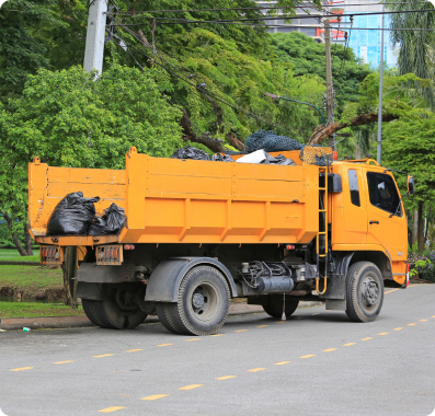 What to Consider When Choosing a Skip Bin Company