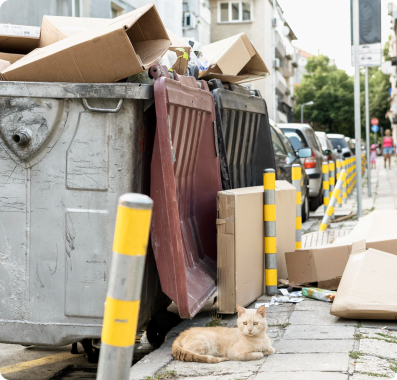 7 Tips on How to Fill a Skip Bin the Right Way